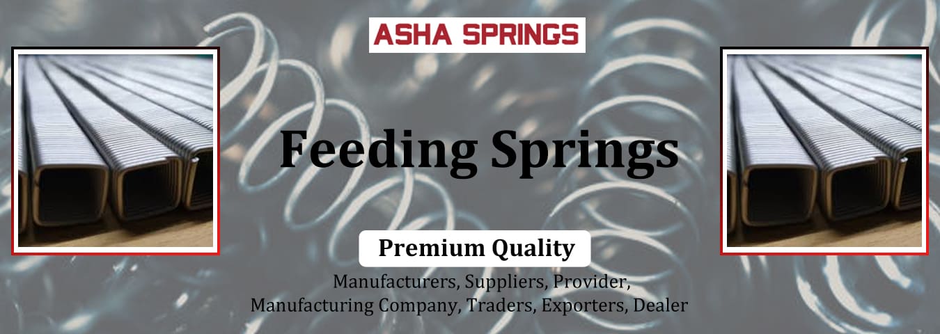 Asha Springs